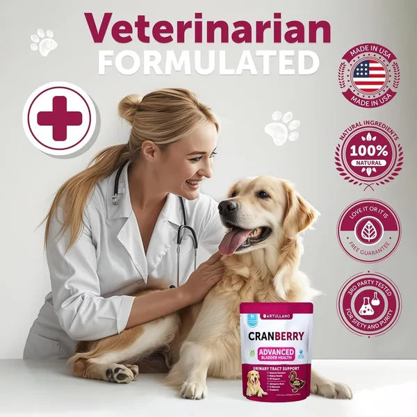 Artullano Cranberry Advanced Bladder Health soft chews for dogs. Natural urinary tract support supplement with cranberry, D-mannose, and astragalus root. Promotes kidney health, immune function, and overall urinary wellness. Suitable for all dog breeds and ages.