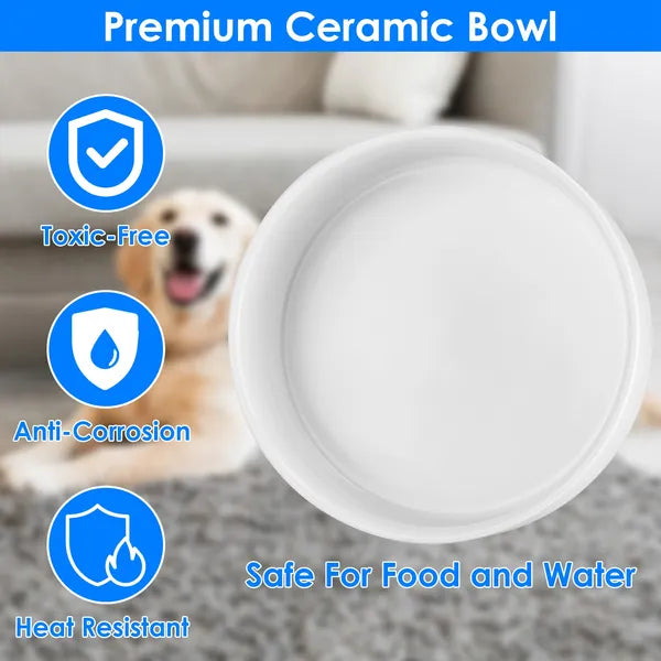 Heated Pet Bowl – Keep Food & Water Safe in Winter