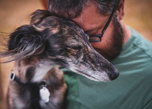 Creating a Healthy & Safe Home for Pets and Pet Parents: Why an Air Purifier and Robot Vacuum are the Perfect Duo