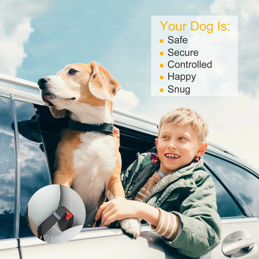 Adjustable Dog Car Seat Belt Tether –  Hands‑Free Safety Strap 2 pack