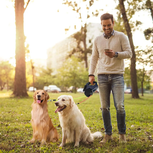 Safety First: Reflective Retractable Dog Leash for Secure Evening Walks