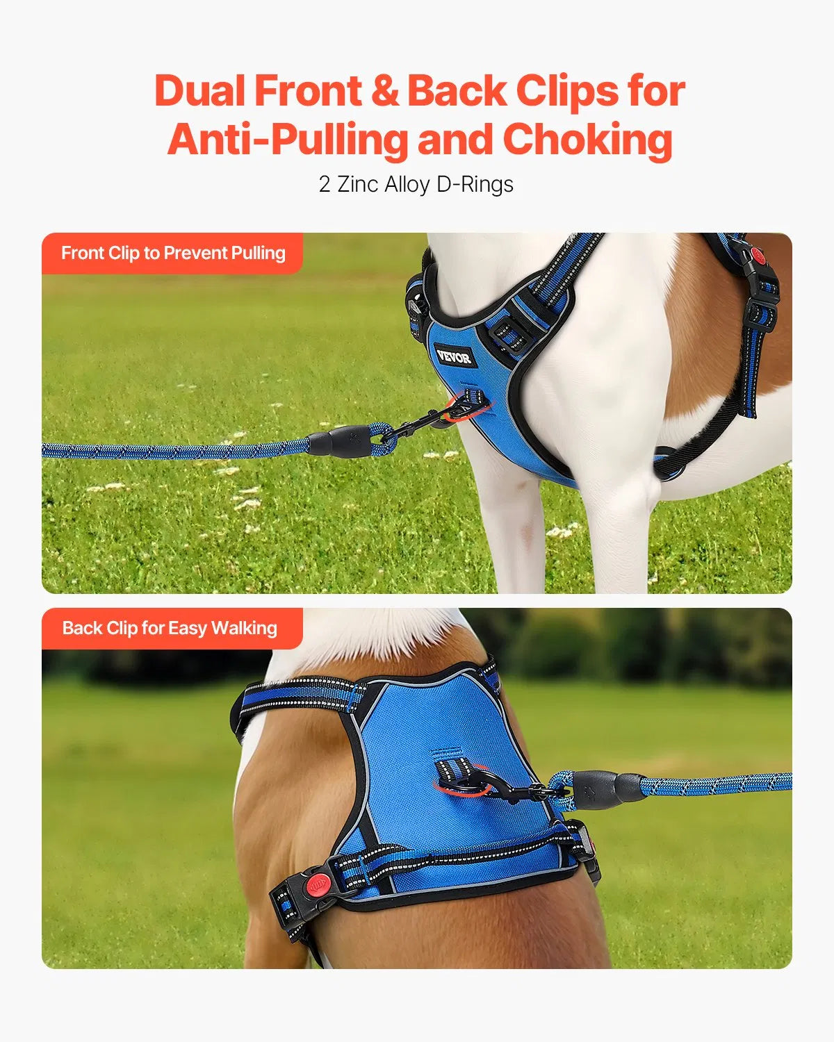 Adventure-Ready Dog Harness & Leash Set – Comfy, Secure & Stylish!