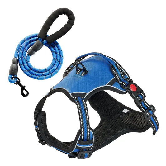 Adventure-Ready Dog Harness & Leash Set – Comfy, Secure & Stylish!