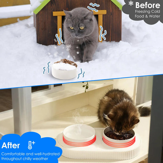 Heated Pet Bowl – Keep Food & Water Safe in Winter