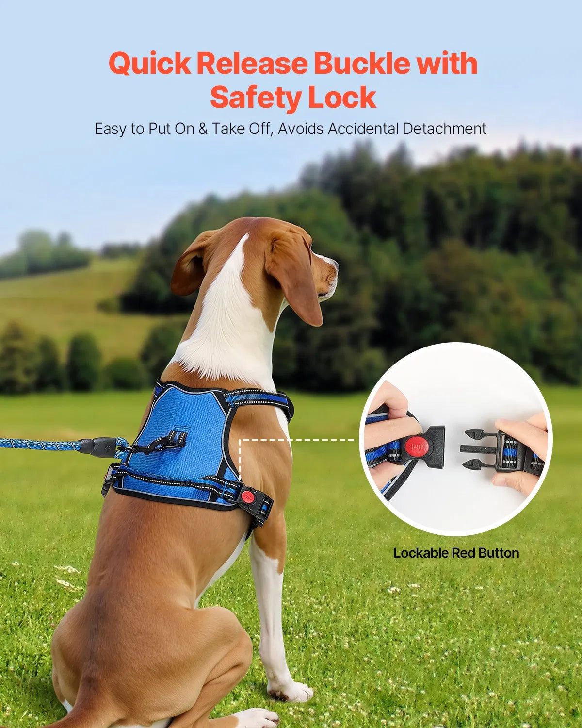 Adventure-Ready Dog Harness & Leash Set – Comfy, Secure & Stylish!