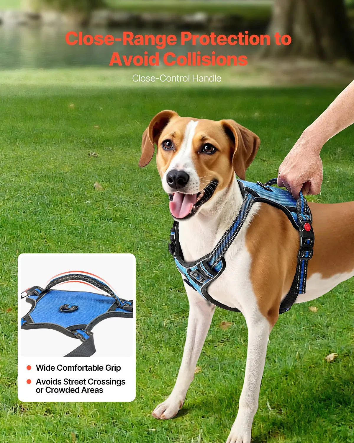 Adventure-Ready Dog Harness & Leash Set – Comfy, Secure & Stylish!